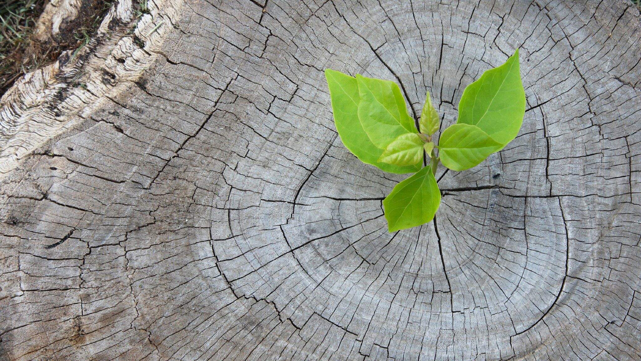 Klimaatbescherming is meer dan een doel op zich.